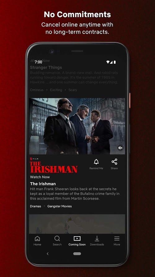 Netflix  Screenshots