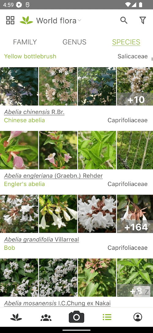 PlantNet Plant Identification  Screenshots