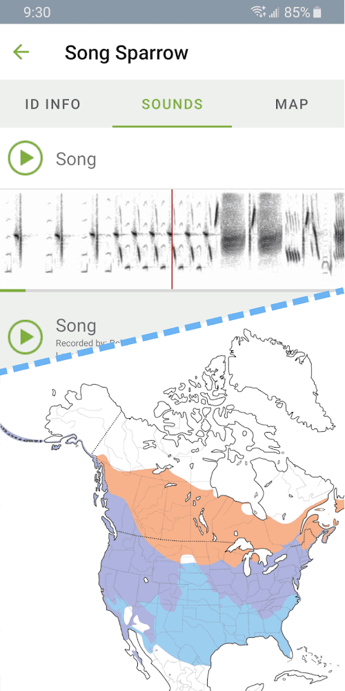 Merlin Bird ID by Cornell Lab  Screenshots