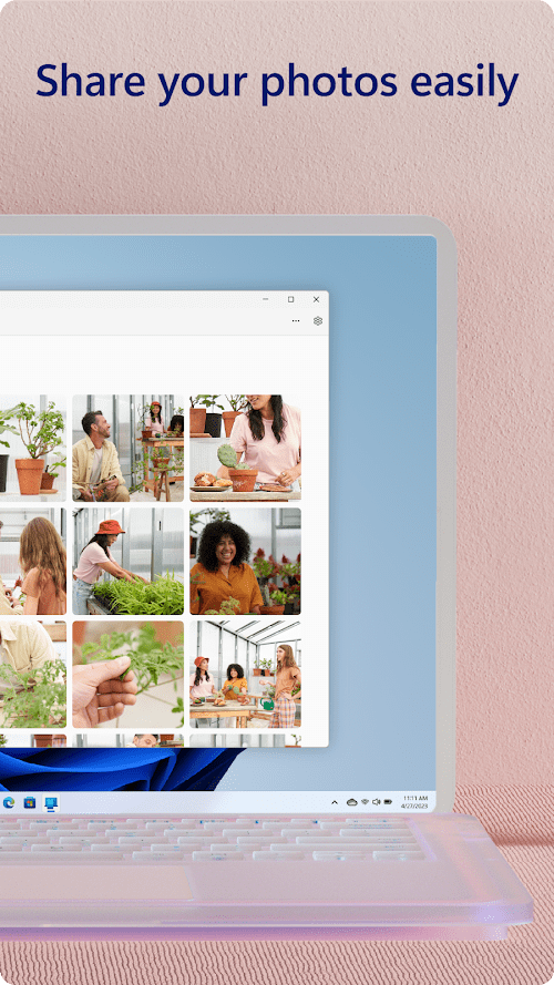 Link to Windows  Screenshots